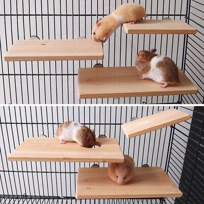 Parrot Hamster Stand Board Wood Perch Stand Platform