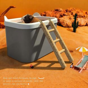 with Box Sand box sand bath Ladder Hamster