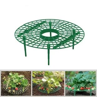 Plant Strawberry Growing Racks Supports Support