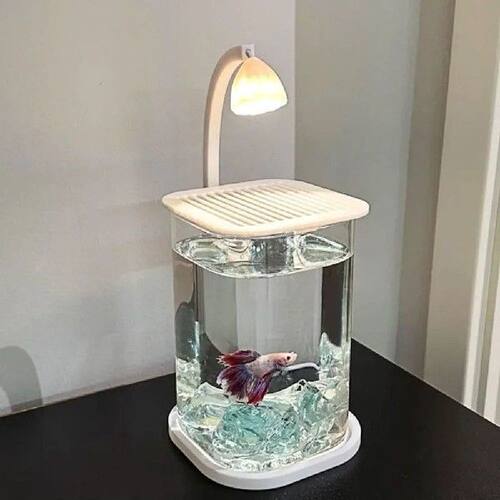 High Transparency Acrylic Landscape Fish Tank Shatterproof