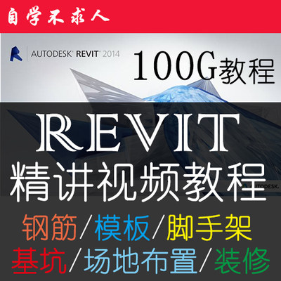 revit/BIM实战视频教程钢筋模板结构建筑脚手架基坑MEP综合管道