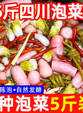 四川坛子泡菜5斤腌菜酸萝卜