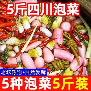 四川坛子泡菜5斤腌菜酸萝卜