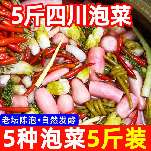 四川坛子泡菜5斤腌菜酸萝卜