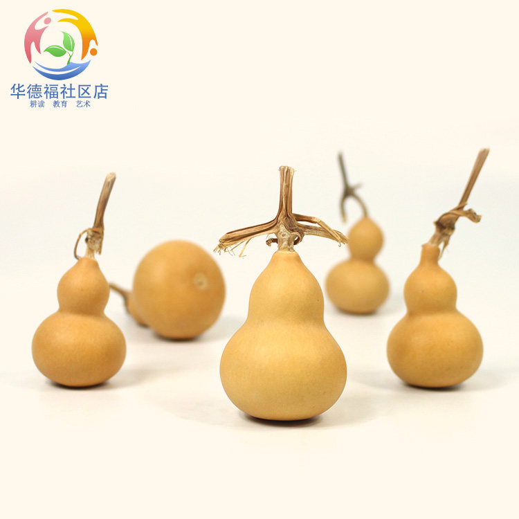华德福社区店 儿童玩耍小葫芦天然植物果实家居装饰挂件摆件新品