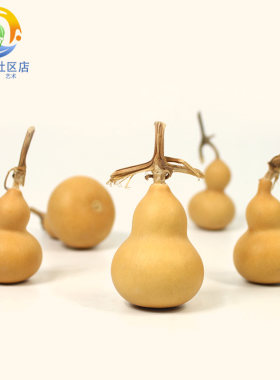 儿童玩耍小葫芦天然植物装饰挂件