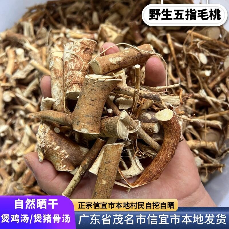 野生五指毛桃根干货广东煲汤材料茂名市信宜市大山货土特产煲鸡汤