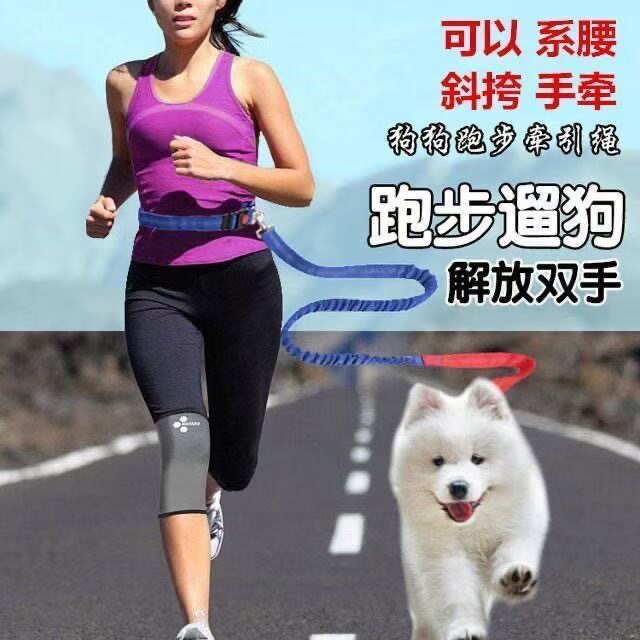 日本狗狗牵引绳大型犬金毛边牧拉布拉多陪跑遛狗绳跑步腰带牵引带