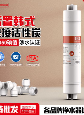 后置活性炭T33通用一体快接滤芯家用直饮纯水机过滤器净水器配件