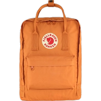 Оранжевый красный пряный апельсин 206