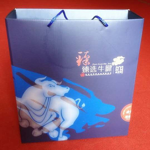 卤牛肉蚌埠灵璧泗县固镇特产安师傅老任桥卤牛腱真空装春节礼盒