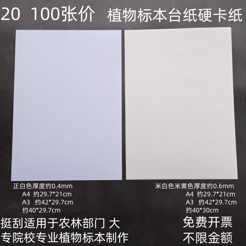 20 100张植物腊叶标本制作用台纸硬卡纸 A3 A4 40*30cm植物普查