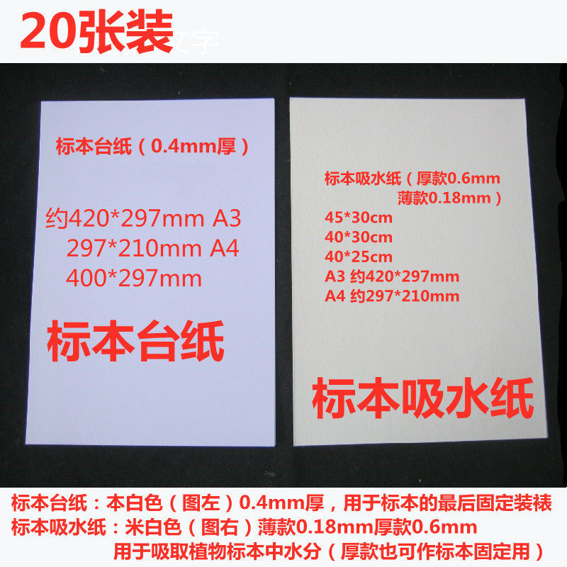 标本纸20张植物标本夹学生用树叶夹加厚吸水纸台纸a3a4 45*30 cm