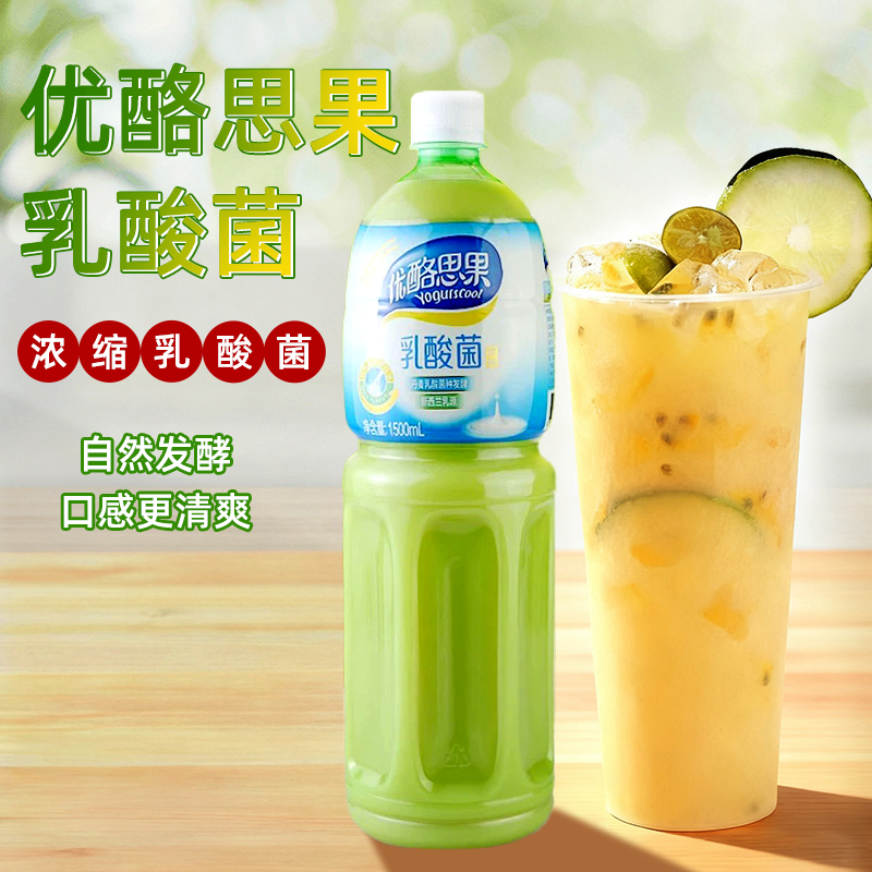 台湾进口优酪思果乳酸菌饮料1.5L奶茶原料发酵型乳酸菌浓缩汁原味