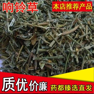 中药材响铃草响玲草响灵草精选现货马响铃浓吉利肾气草500g克包邮