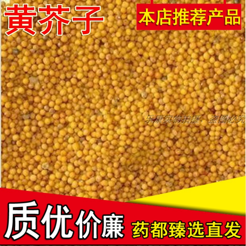 黄芥末籽粒精选现货天然新货黄芥子中药材500g克包邮可磨黄芥子粉