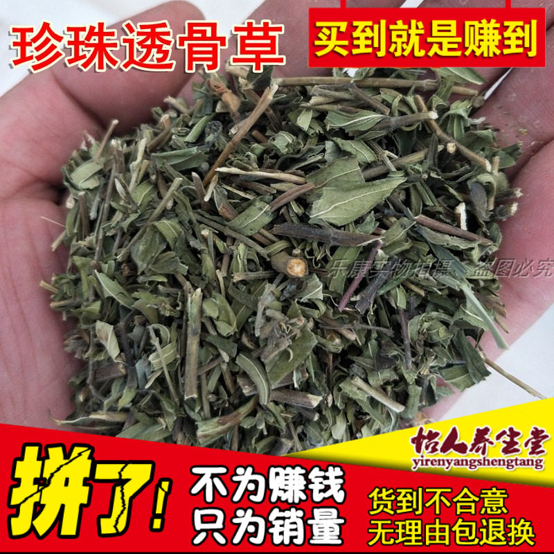 透骨草原生珍珠透骨草正品透骨草吉盖草枸皮草中草药材500g克包邮