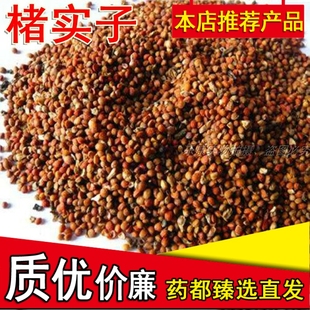 楮实子新鲜现货褚实子褚实籽楮实米楮桃构树果构树子500g克包邮