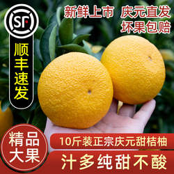 正宗庆元甜桔柚甜橘柚香甜多汁10斤礼盒比建阳桔柚好(精品大果)