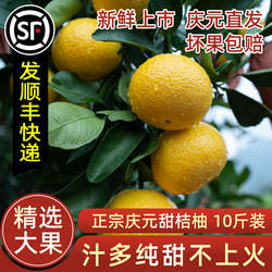 25年正宗庆元甜桔柚甜橘柚香甜多汁10斤装礼盒包邮比建阳桔柚好吃