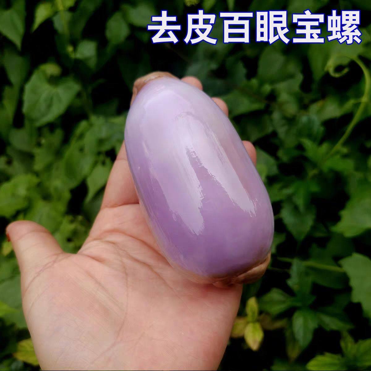 天然去皮百眼宝螺白紫色宝螺鱼缸水族造景装饰地中海家居收藏标本,家居饰品,海螺/贝壳/珊瑚,淘宝优惠券,粉丝福利购,淘宝优惠卷