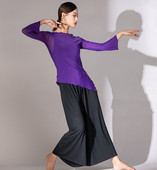 特价 款 纱衣舞蹈服练功长袖 网纱喇叭袖 清仓 古典舞长款 上衣 断码