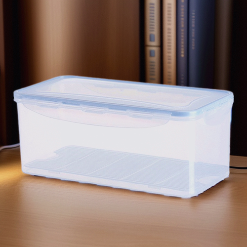 密封沥水保鲜盒鱼盒面条食物收纳