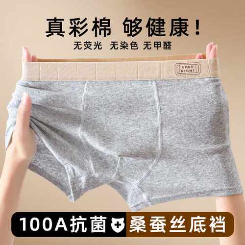 青少年发育期彩棉男孩四角裤初中高中纯棉中大男生平角裤100A抑菌