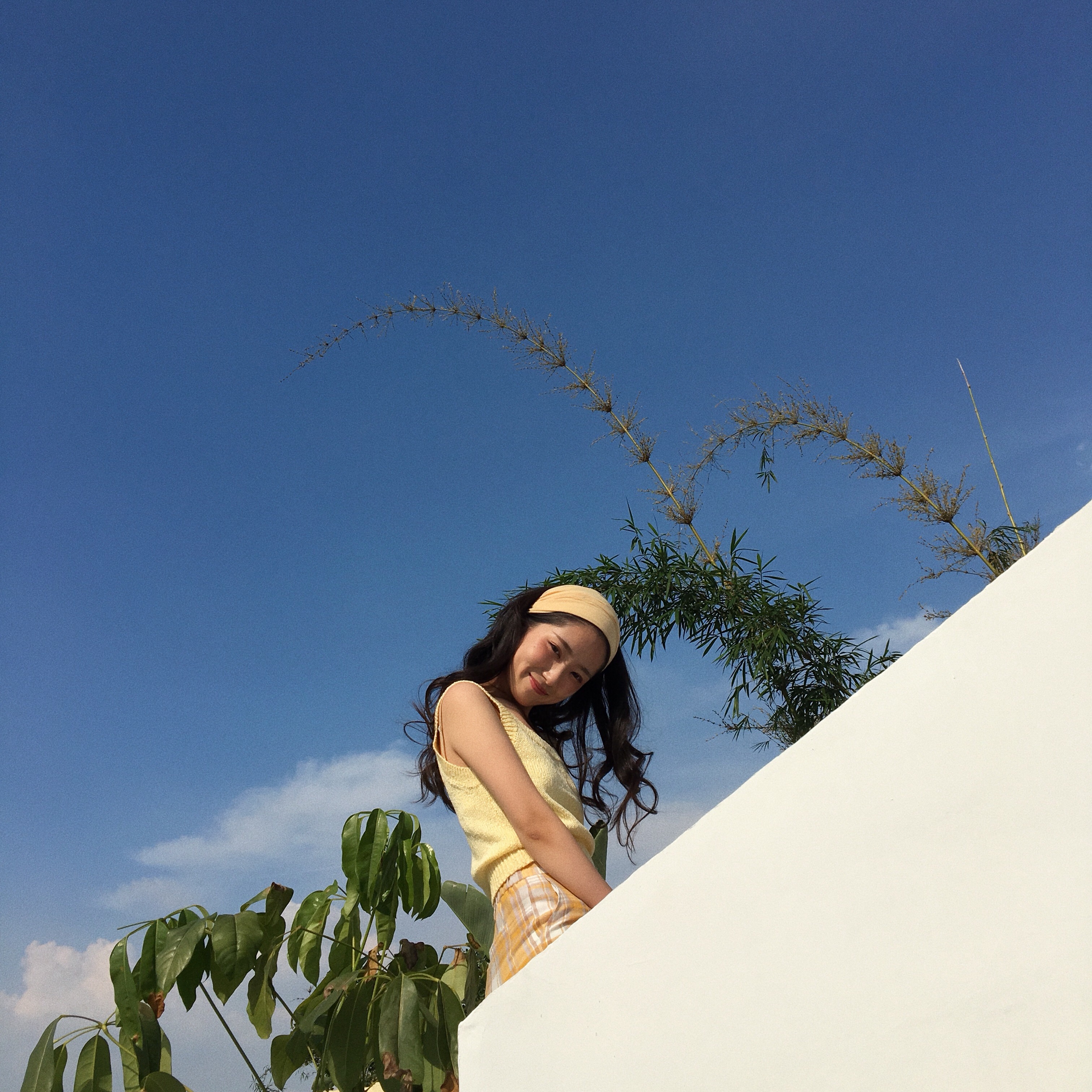 ZNG SHOP2018夏裝新款 檸檬奶黃和小米白俏皮可愛質感針織上衣