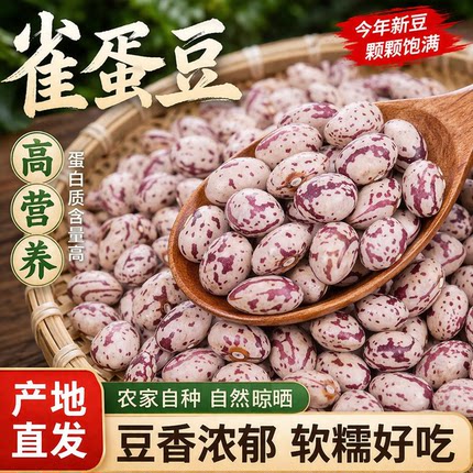 贵州雀豆今年新豆农家干货雀豆颗粒饱满软糯易煮雀豆