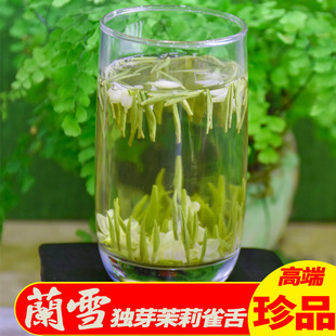 浓香型礼盒装 茉莉花茶2024新茶散装 特级银针单芽四川炒花兰雪200g