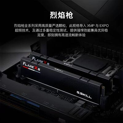 芝奇烈焰马甲  32G (16*2) / 6000 套条 C36