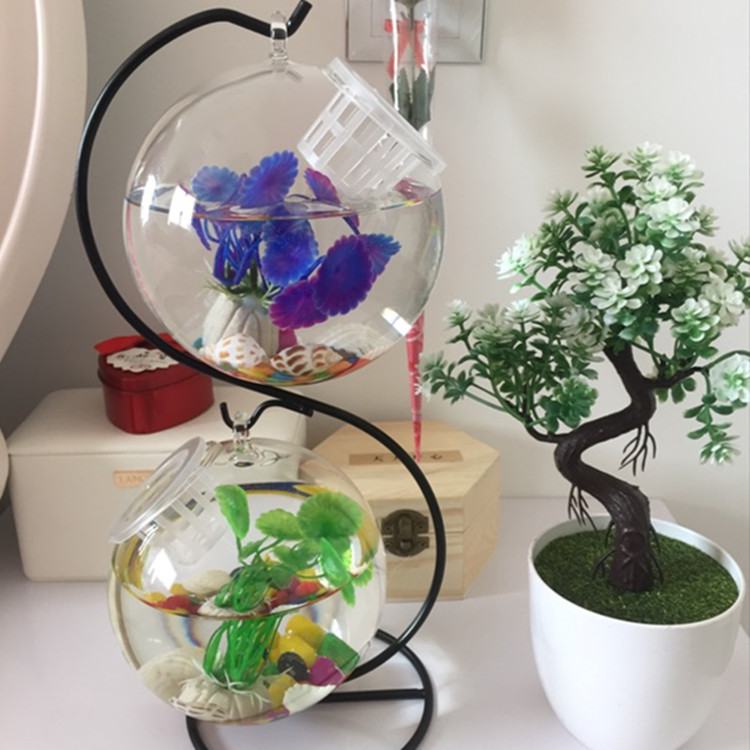 小型迷你小金魚斗魚造景生態小魚缸創意辦公桌面裝飾玻璃魚缸擺件