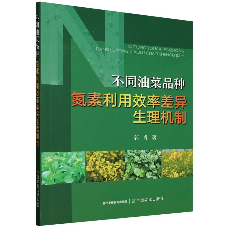 正版 不同油菜品种氮素利用效率差异生理机制 9787109331570 中国农业出版社