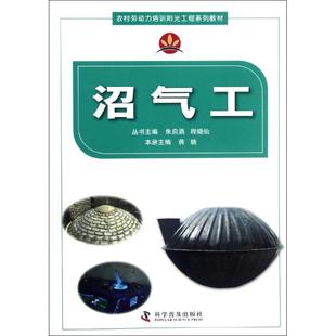科学普及 9787110077177 正版 沼气工