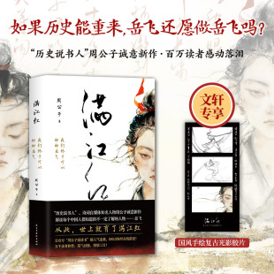 民主与建设 9787513943321 正版 满江红：我们终于可以聊聊岳飞