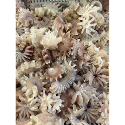 安徽亳州手工牛杂花朵状牛鞭花