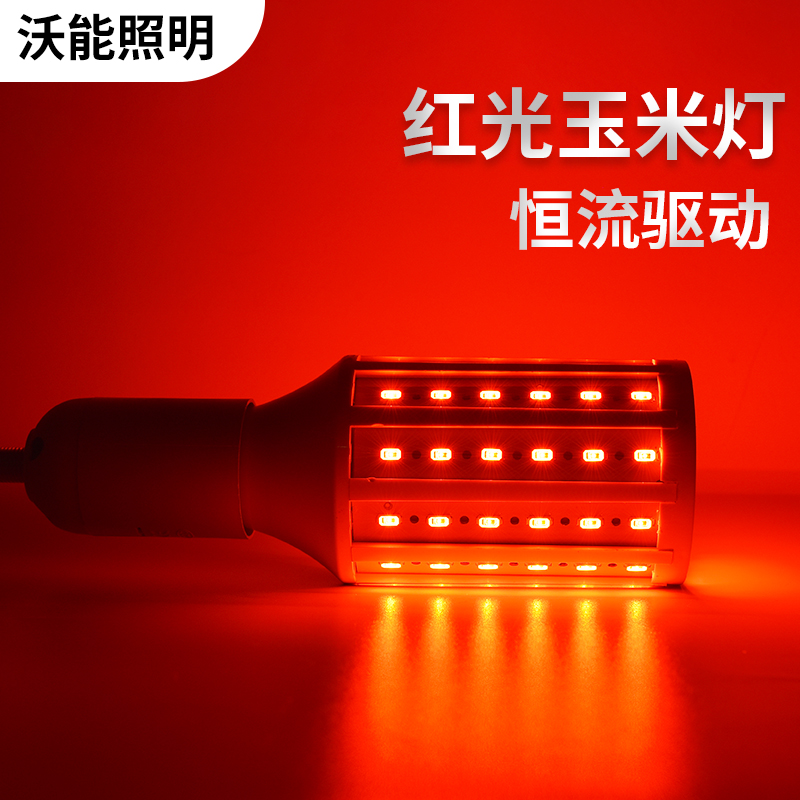 led超亮喜庆红猪肉植物玉米灯