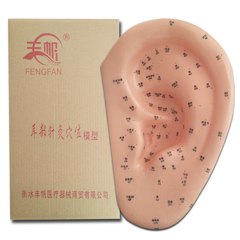 针灸耳部穴位耳模按摩经络推拿