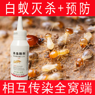 大功达杀虫粉剂专灭治白蚁粉杀白蚂蚁药传染性全窝端防御白蚁药水