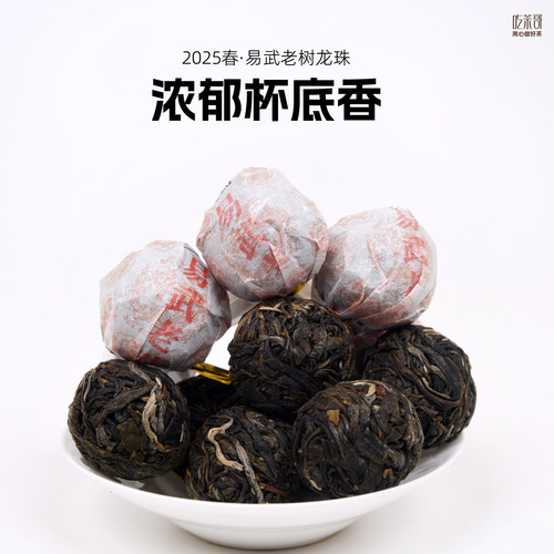 易武麻黑老树龙珠大树茶