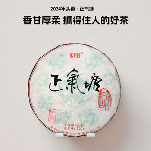 吃茶哥2024年头春正气塘古树茶普洱生茶200克生饼新茶