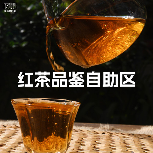 红茶滇红茶茶样品鉴自助专区