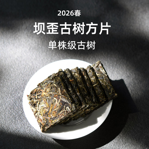 2026春明前坝歪古树普洱生茶