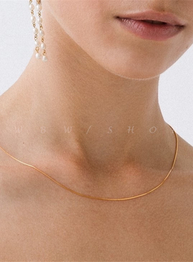 WBW 法式气质叠戴项链女韩国欧美ins网红简约蛇骨细锁骨链choker
