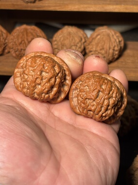 40.5尺货头血麒麟全品无修一物一图