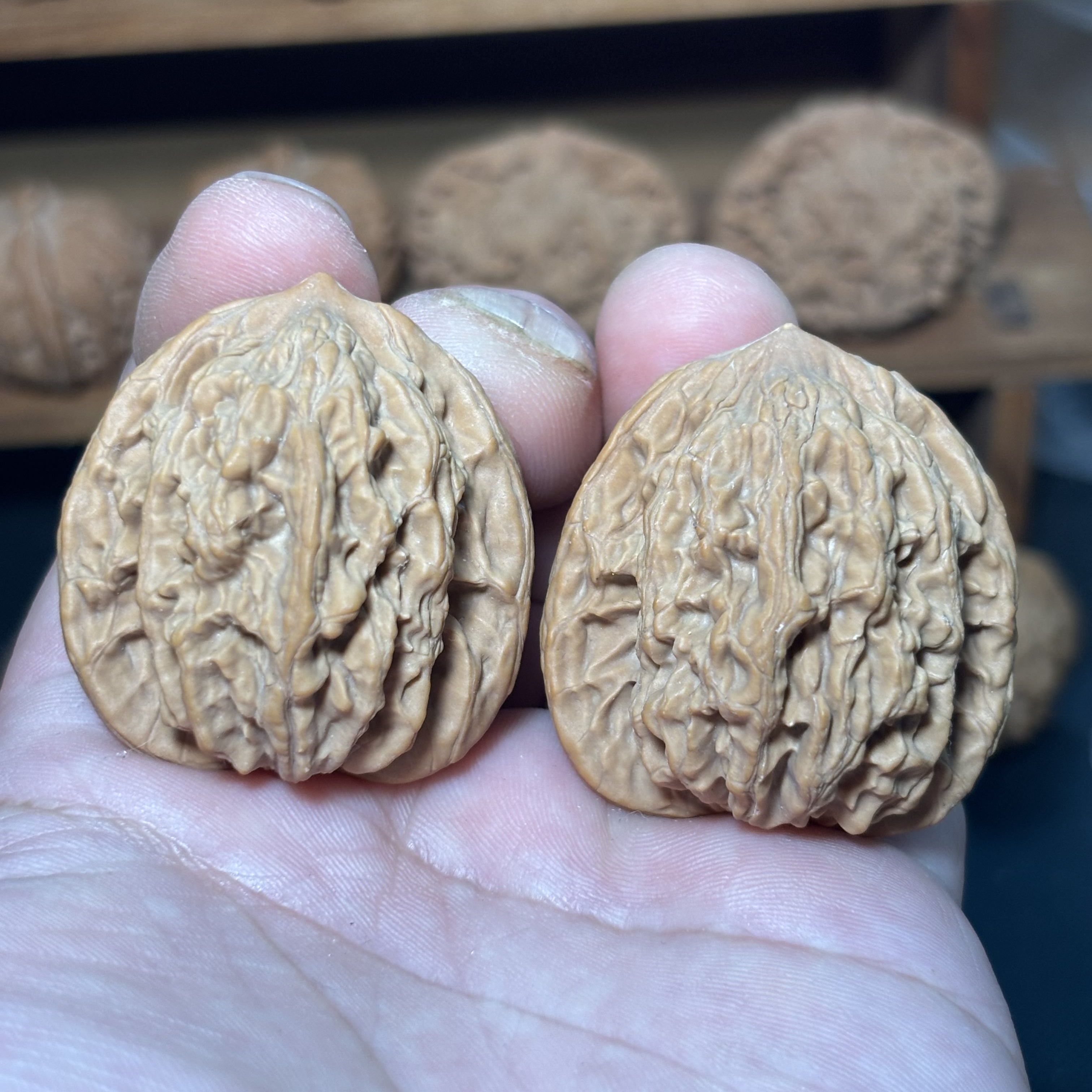 Y6麦穗虎头边40肚38高43尺四大名核头货全品无修一物一图