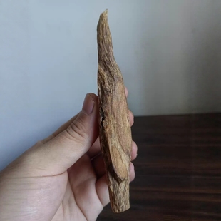 天然沉香摆件孤品文玩收藏老料虫漏结香树心油约10.5克重