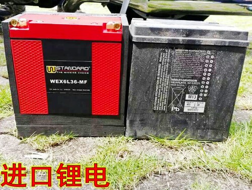 进口电瓶适用林荫大道