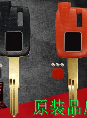 原装品质适用于天浪AN650 250 400钥匙胚锁匙柄芯片钥匙磁石